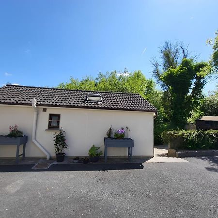 Oak Cottage 3 Km From Rock Of Cashel كاشيل المظهر الخارجي الصورة