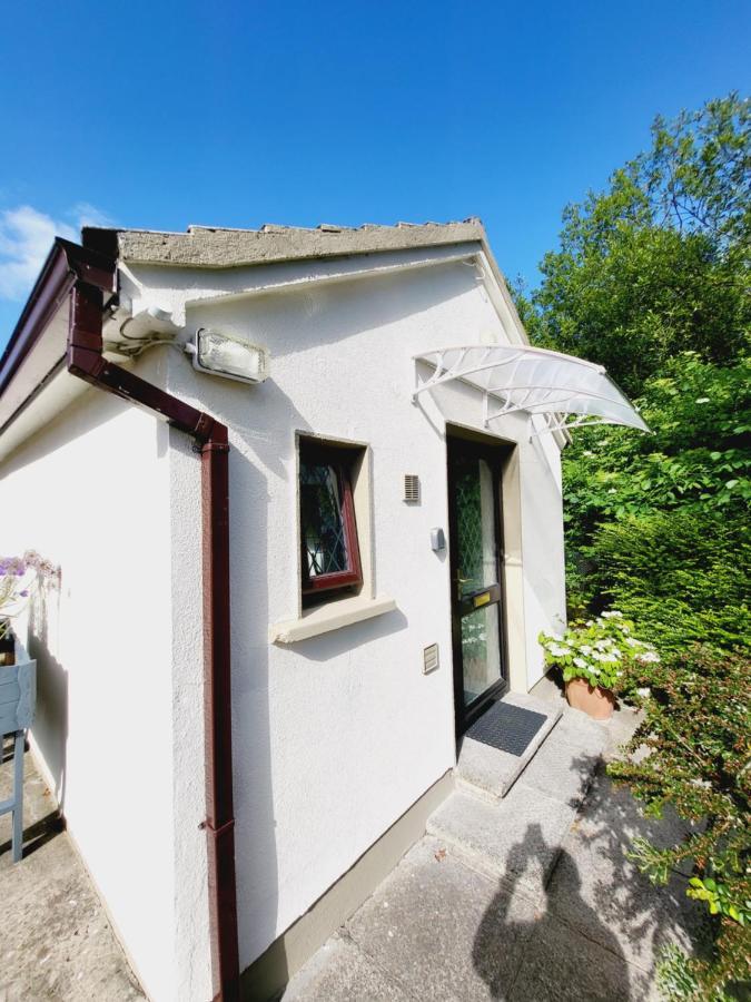 Oak Cottage 3 Km From Rock Of Cashel كاشيل المظهر الخارجي الصورة