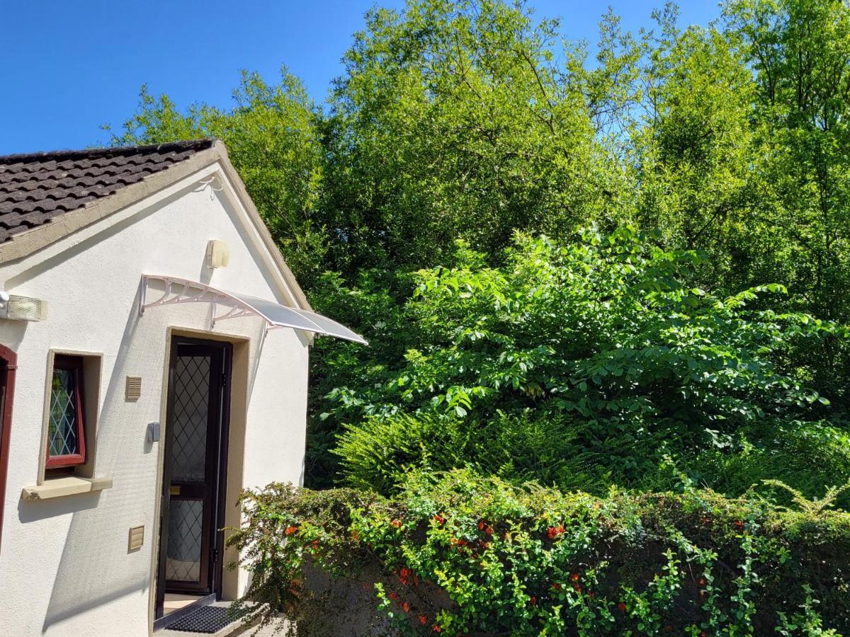 Oak Cottage 3 Km From Rock Of Cashel كاشيل المظهر الخارجي الصورة