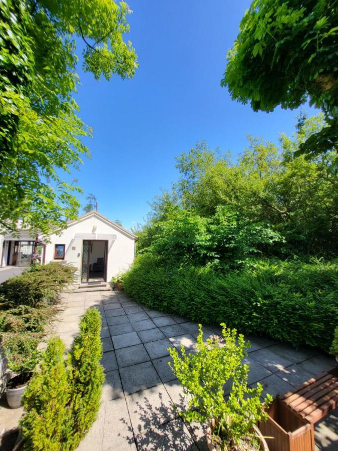 Oak Cottage 3 Km From Rock Of Cashel كاشيل المظهر الخارجي الصورة